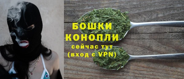 молекула духа Нефтекумск